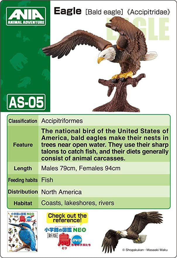 Takara Tomy AS-05 Animal Adventure Eagle (Bald Eagle) Figure