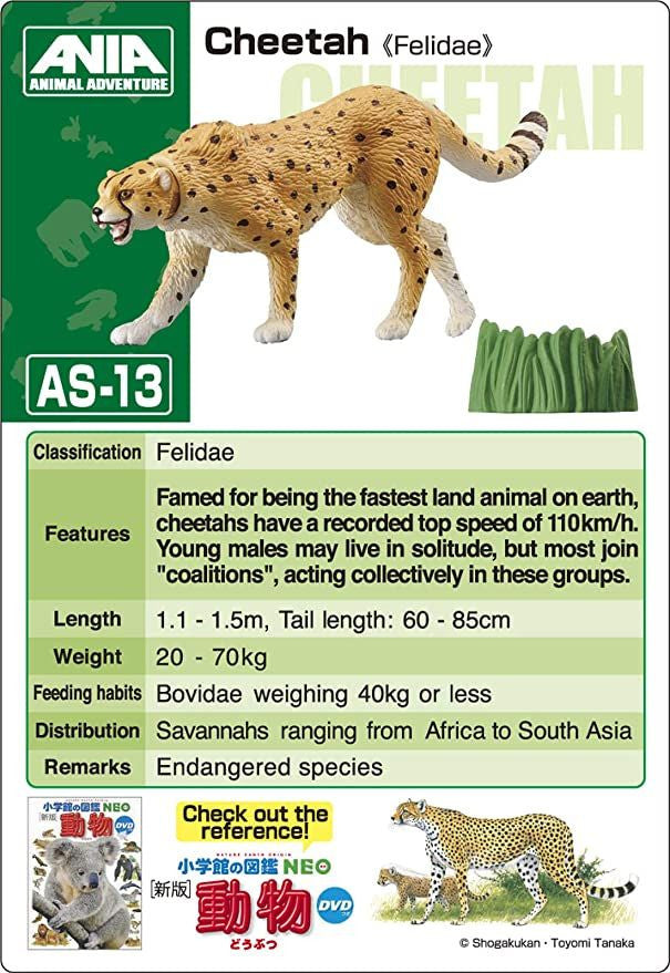 Takara Tomy AS-13 Animal Adventure Cheetah (Wild Version) Figure