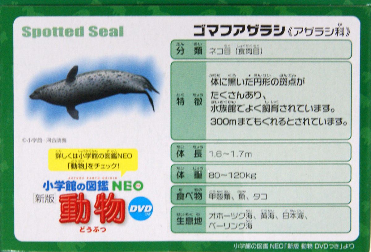 Takara Tomy Ania AS-22 Animal Adventure Spotted Seal (Floating Version)