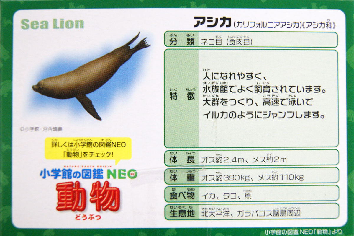 Takara Tomy AS-21 Animal Adventure Sea Lion Figure
