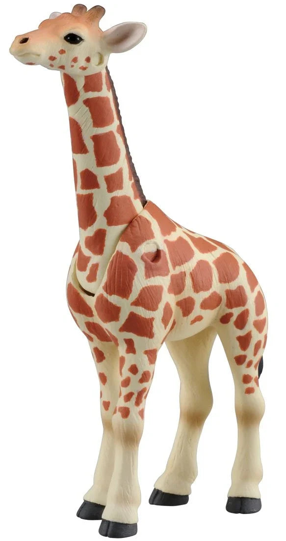 Takara Tomy AS-12 Animal Adventure Giraffe Figure