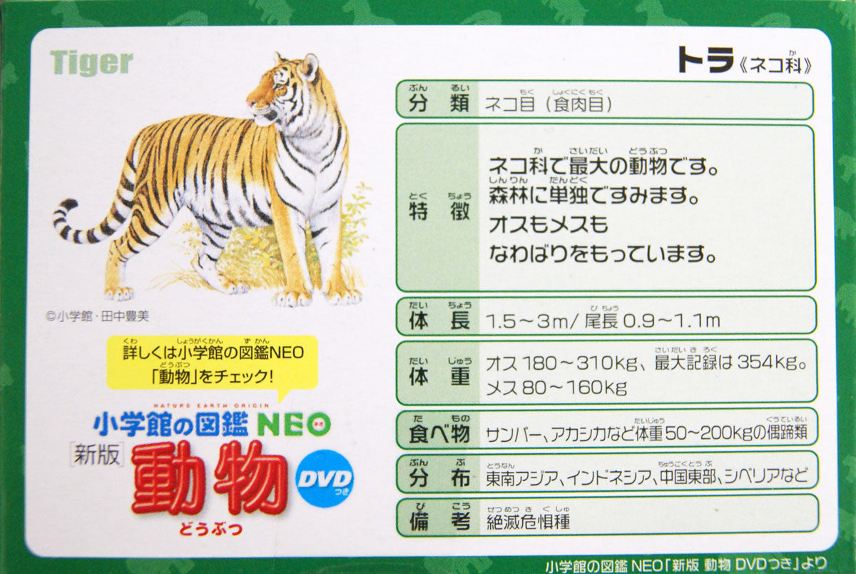 Takara Tomy AS-30 Animal Adventure Tiger Figure (Wild Version)